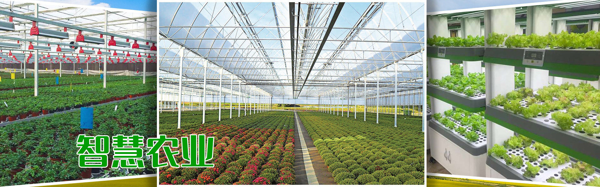 組培、組培架